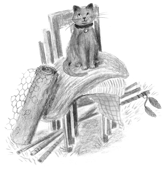 Иллюстрация к книге — Алфи. Все кувырком [i_030.jpg]