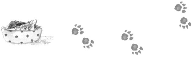 Иллюстрация к книге — Алфи. Все кувырком [i_047.jpg]