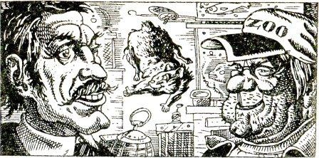 Иллюстрация к книге — Фредди и большой шурум-бурум [i_003.jpg]