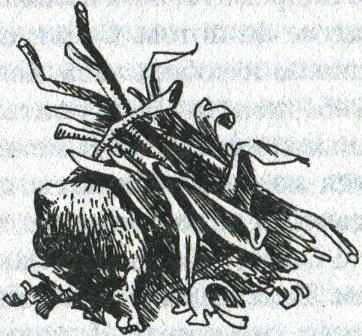 Иллюстрация к книге — Фредди и большой шурум-бурум [i_010.jpg]