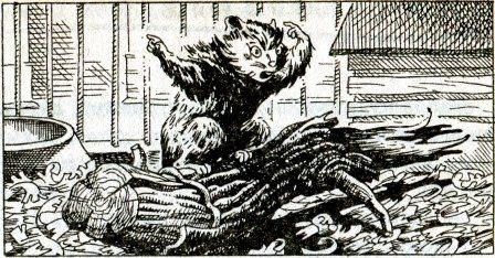 Иллюстрация к книге — Фредди и большой шурум-бурум [i_024.jpg]