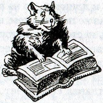 Иллюстрация к книге — Фредди и большой шурум-бурум [i_033.jpg]