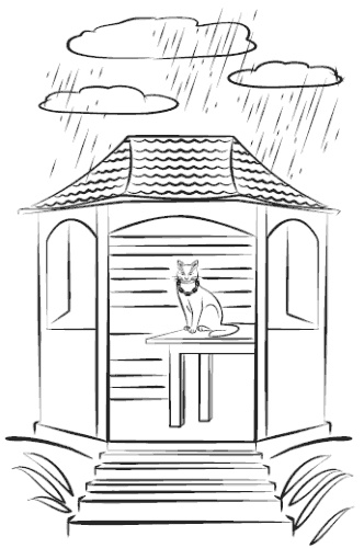 Иллюстрация к книге — Академия идеального веса [i_007.jpg]