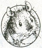 Иллюстрация к книге — Хомяк Фредди. Операция &quot;Х&quot; [i_002.jpg]