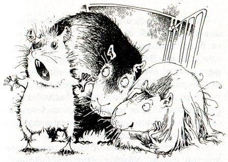 Иллюстрация к книге — Хомяк Фредди. Операция &quot;Х&quot; [i_003.jpg]