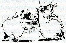 Иллюстрация к книге — Хомяк Фредди. Операция &quot;Х&quot; [i_006.jpg]