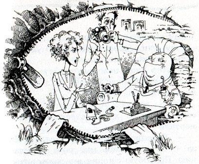 Иллюстрация к книге — Хомяк Фредди. Операция &quot;Х&quot; [i_009.jpg]