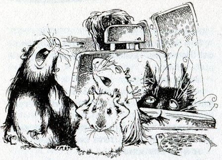 Иллюстрация к книге — Хомяк Фредди. Операция &quot;Х&quot; [i_011.jpg]