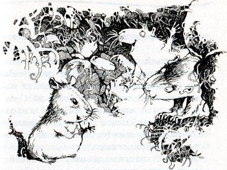 Иллюстрация к книге — Хомяк Фредди. Операция &quot;Х&quot; [i_017.jpg]