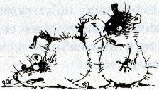 Иллюстрация к книге — Хомяк Фредди. Операция &quot;Х&quot; [i_018.jpg]