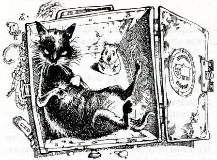 Иллюстрация к книге — Хомяк Фредди. Операция &quot;Х&quot; [i_019.jpg]