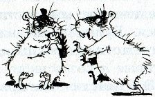 Иллюстрация к книге — Хомяк Фредди. Операция &quot;Х&quot; [i_020.jpg]