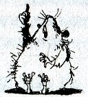 Иллюстрация к книге — Хомяк Фредди. Операция &quot;Х&quot; [i_028.jpg]