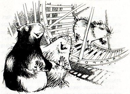 Иллюстрация к книге — Хомяк Фредди. Операция &quot;Х&quot; [i_030.jpg]