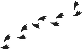 Иллюстрация к книге — Дневник Домового. Рассказы с чердака [i_030.jpg]