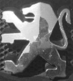 Иллюстрация к книге — Sapiens. Краткая история человечества [i_011.jpg]