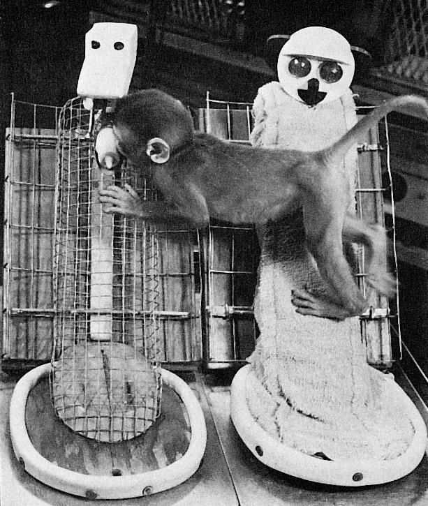 Иллюстрация к книге — Sapiens. Краткая история человечества [i_072.jpg]