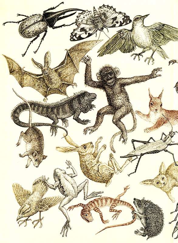 Иллюстрация к книге — Однажды в Новом Мире [i_001.jpg]