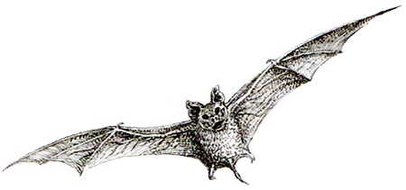 Иллюстрация к книге — Однажды в Новом Мире [i_006.jpg]