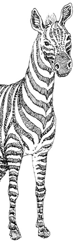 Иллюстрация к книге — Однажды в Новом Мире [i_007.jpg]