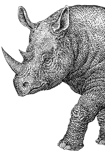 Иллюстрация к книге — Однажды в Новом Мире [i_008.jpg]