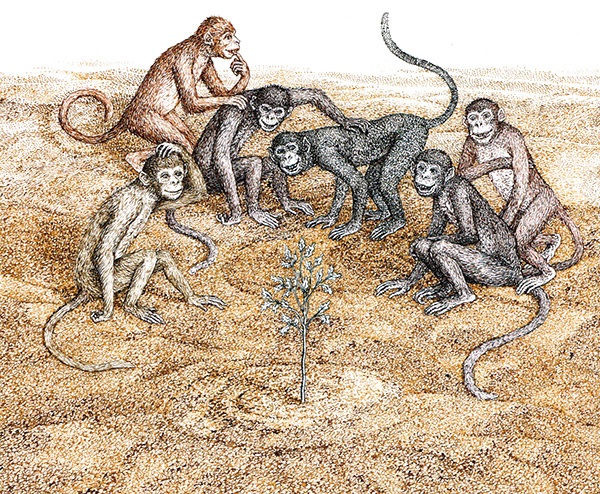 Иллюстрация к книге — Однажды в Новом Мире [i_012.jpg]