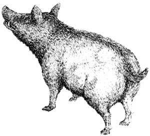 Иллюстрация к книге — Однажды в Новом Мире [i_013.jpg]