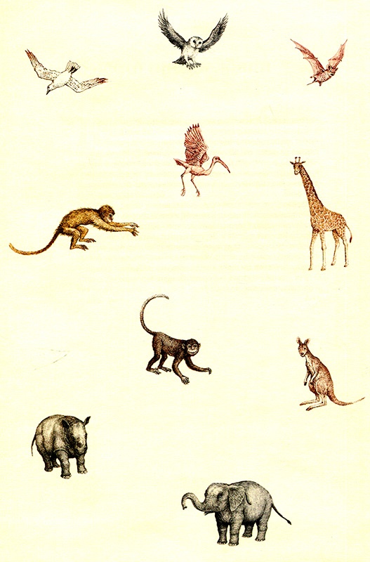 Иллюстрация к книге — Однажды в Новом Мире [i_014.jpg]