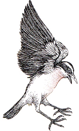 Иллюстрация к книге — Однажды в Новом Мире [i_016.jpg]