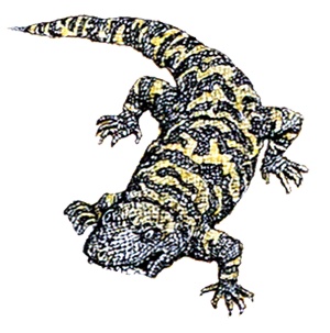 Иллюстрация к книге — Однажды в Новом Мире [i_017.jpg]