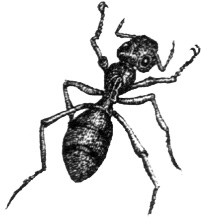 Иллюстрация к книге — Однажды в Новом Мире [i_018.jpg]