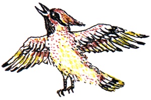 Иллюстрация к книге — Однажды в Новом Мире [i_022.jpg]