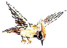 Иллюстрация к книге — Однажды в Новом Мире [i_023.jpg]