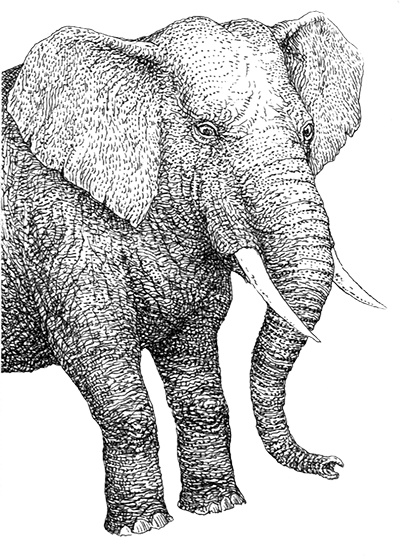 Иллюстрация к книге — Однажды в Новом Мире [i_025.jpg]