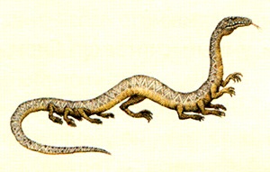 Иллюстрация к книге — Однажды в Новом Мире [i_028.jpg]