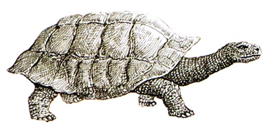 Иллюстрация к книге — Однажды в Новом Мире [i_031.jpg]