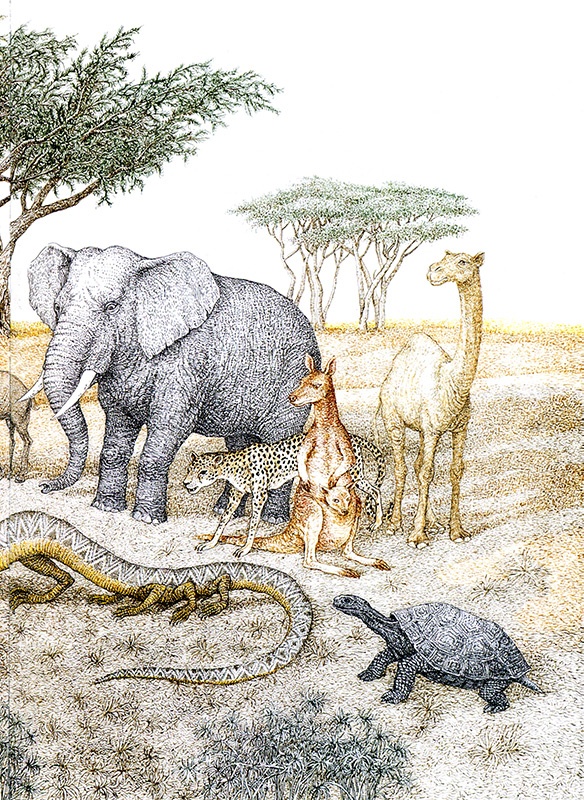 Иллюстрация к книге — Однажды в Новом Мире [i_033.jpg]