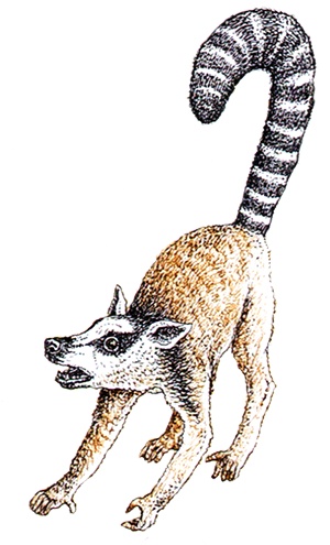 Иллюстрация к книге — Однажды в Новом Мире [i_034.jpg]