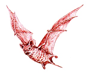 Иллюстрация к книге — Однажды в Новом Мире [i_040.jpg]