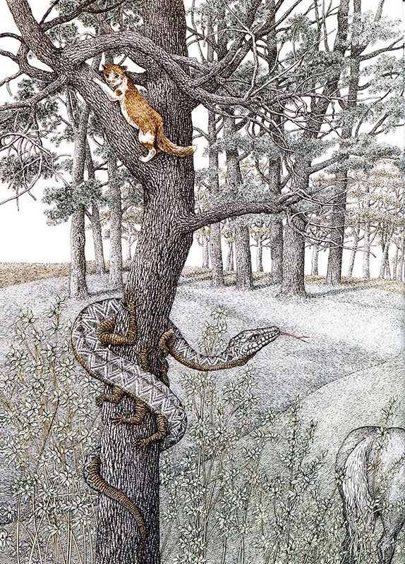 Иллюстрация к книге — Однажды в Новом Мире [i_041.jpg]