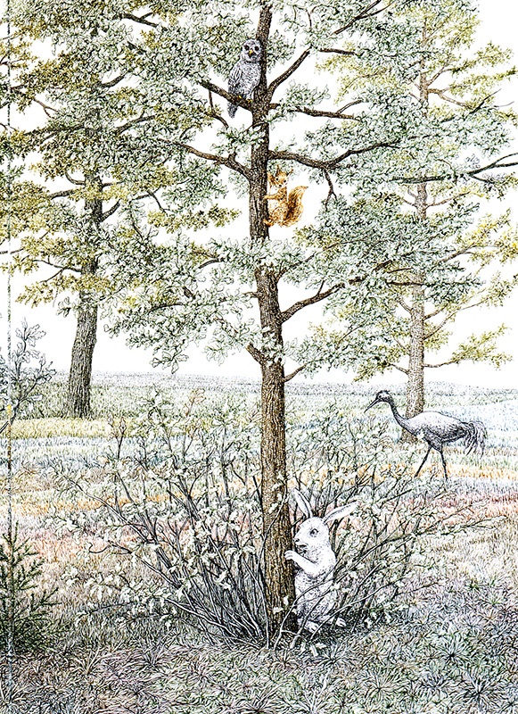 Иллюстрация к книге — Однажды в Новом Мире [i_045.jpg]