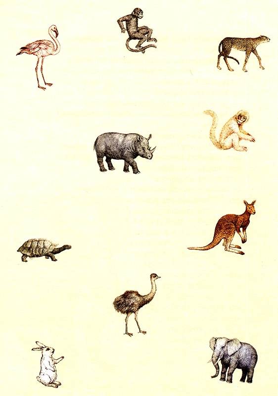 Иллюстрация к книге — Однажды в Новом Мире [i_050.jpg]