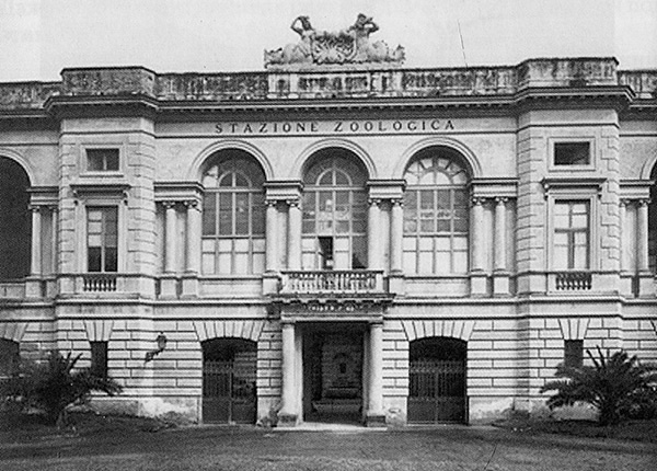 Иллюстрация к книге — Нансен. Человек и миф [i_005.jpg]