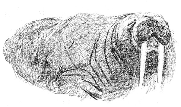 Иллюстрация к книге — Нансен. Человек и миф [i_011.jpg]