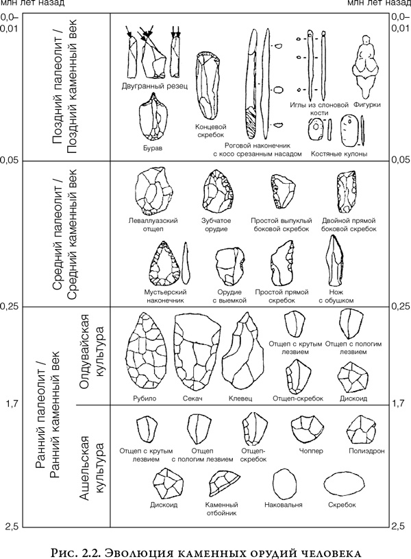 Иллюстрация к книге — На заре человечества. Неизвестная история наших предков [i_002.jpg]