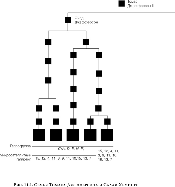 Иллюстрация к книге — На заре человечества. Неизвестная история наших предков [i_018.jpg]