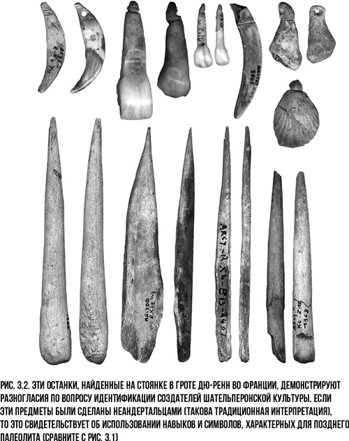 Иллюстрация к книге — Захватчики: Люди и собаки против неандертальцев [i_003.jpg]