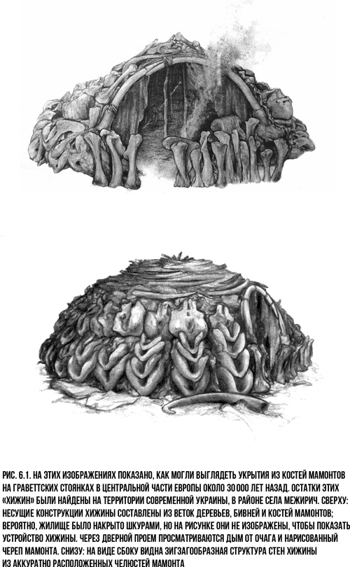Иллюстрация к книге — Захватчики: Люди и собаки против неандертальцев [i_005.jpg]