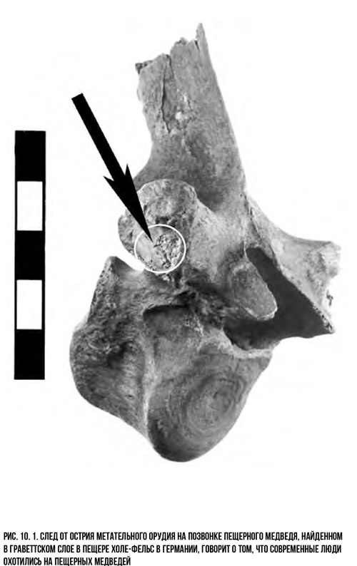 Иллюстрация к книге — Захватчики: Люди и собаки против неандертальцев [i_014.jpg]