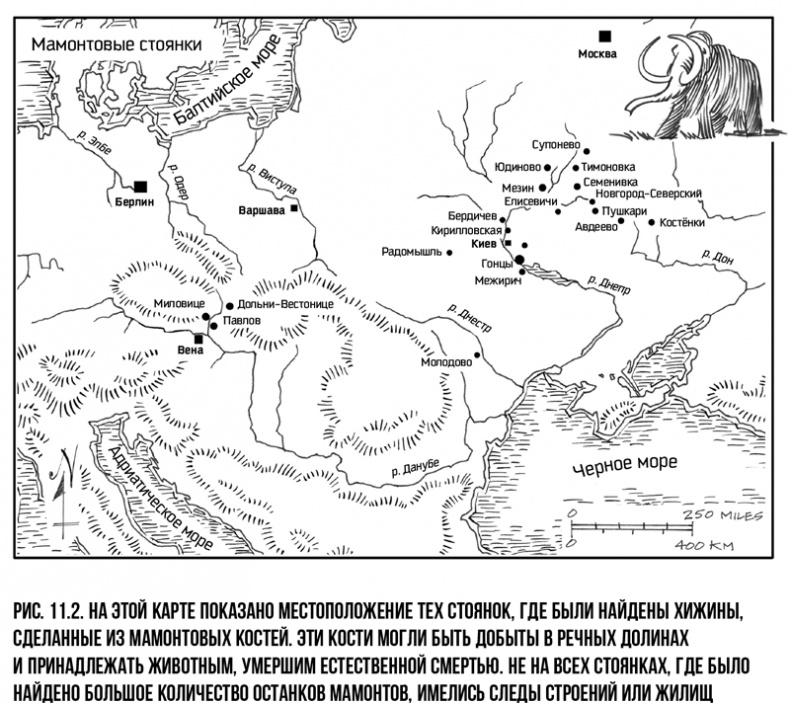Иллюстрация к книге — Захватчики: Люди и собаки против неандертальцев [i_018.jpg]